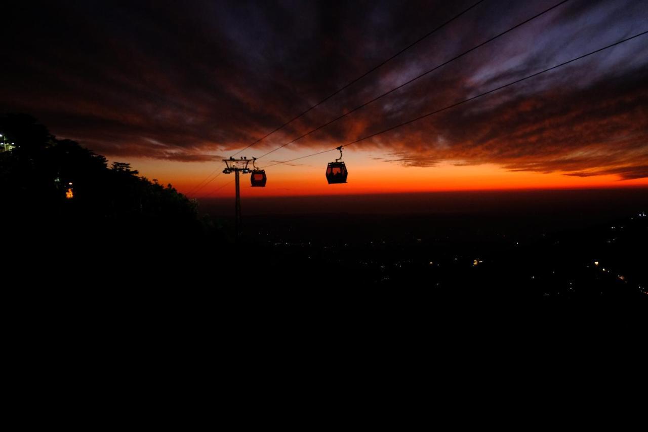 맥그로드 간즈 Mitra Mcleodganj 호스텔 외부 사진