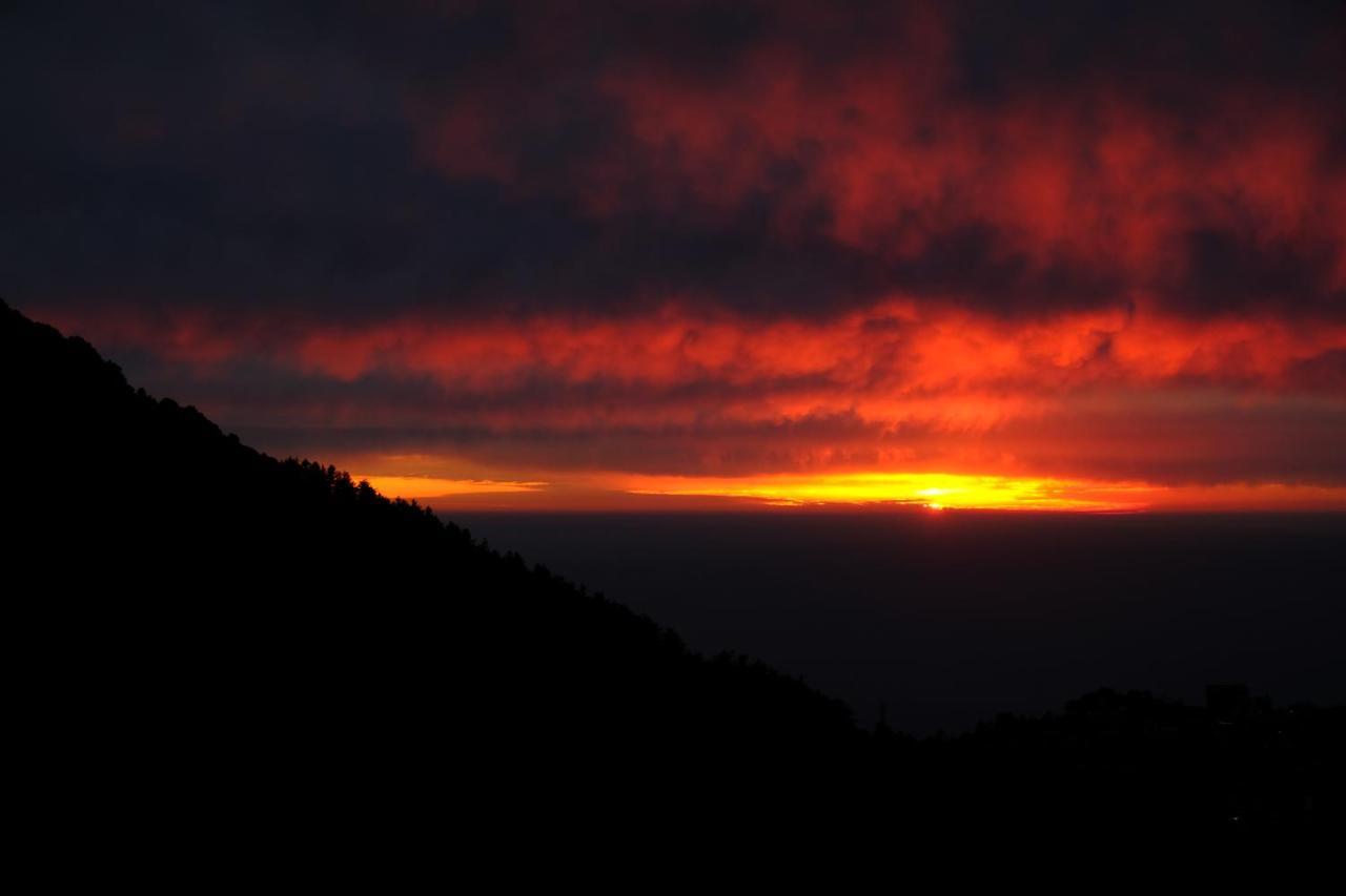맥그로드 간즈 Mitra Mcleodganj 호스텔 외부 사진