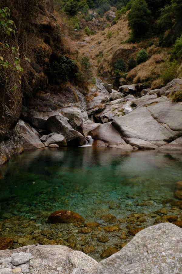 맥그로드 간즈 Mitra Mcleodganj 호스텔 외부 사진