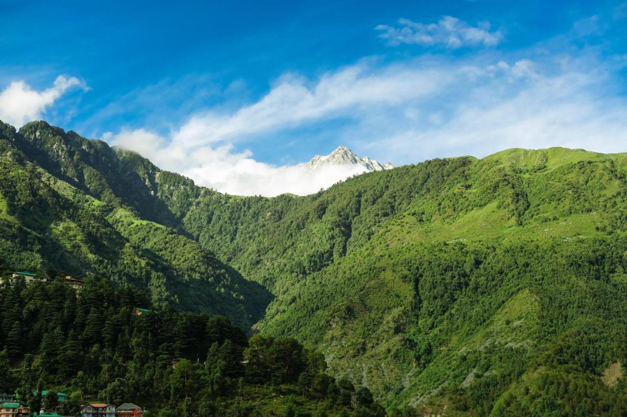 맥그로드 간즈 Mitra Mcleodganj 호스텔 외부 사진